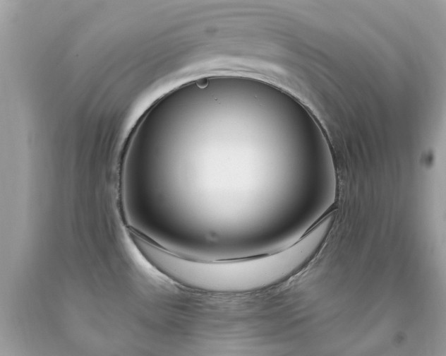 X0000091671531200709061032