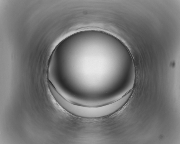 X0000091671534200709061032