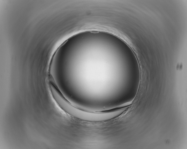 X0000091671536200709061032