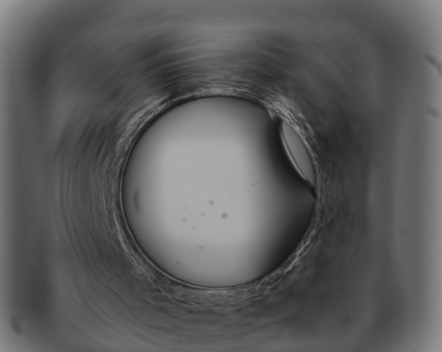 X0000091670001200709131537