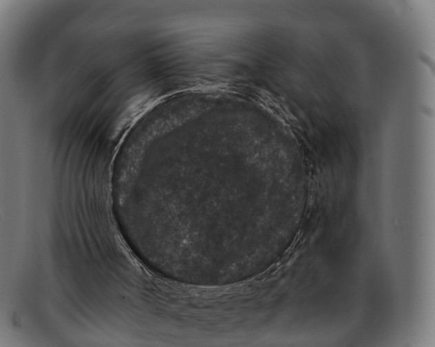 X0000091670002200709131537