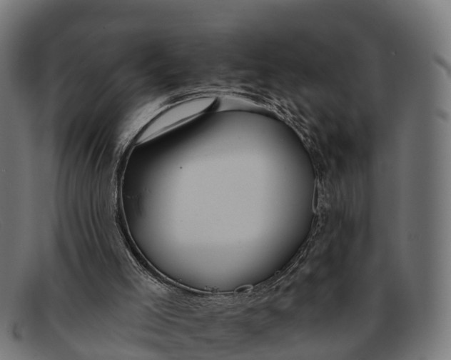 X0000091670005200709131537