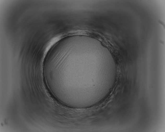 X0000091670006200709131537