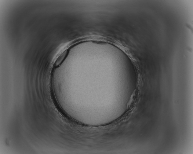 X0000091670007200709131537