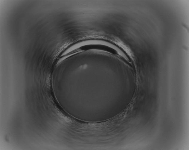 X0000091670009200709131537