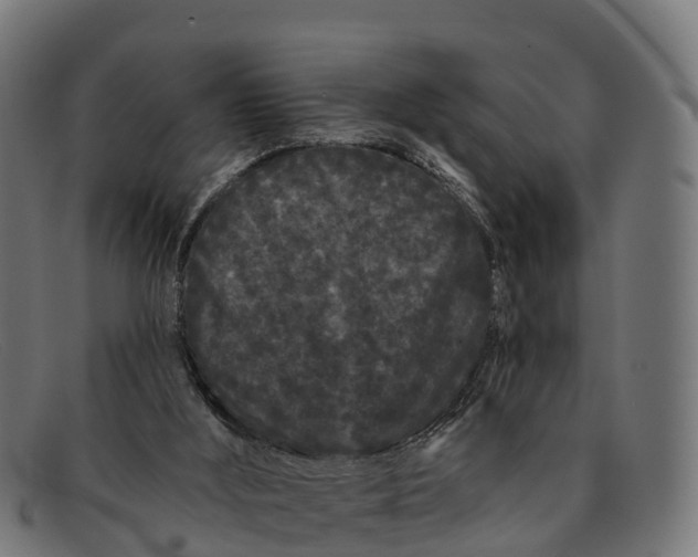 X0000091670012200709131537