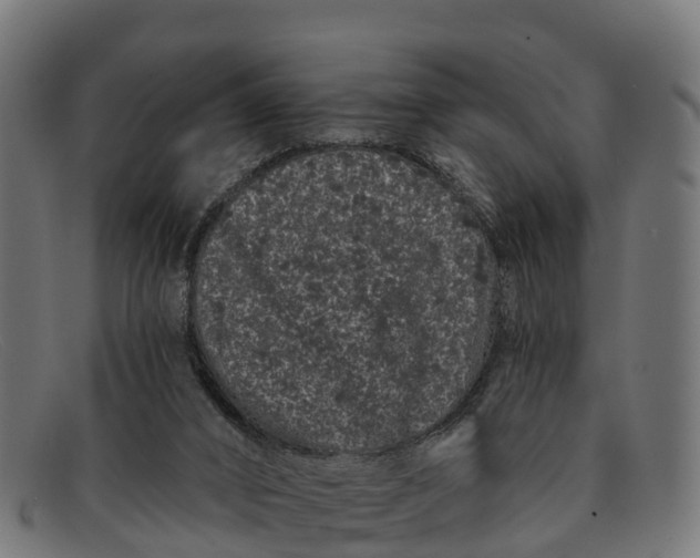 X0000091670016200709131537