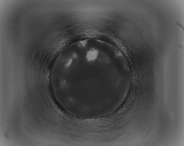 X0000091670018200709131537