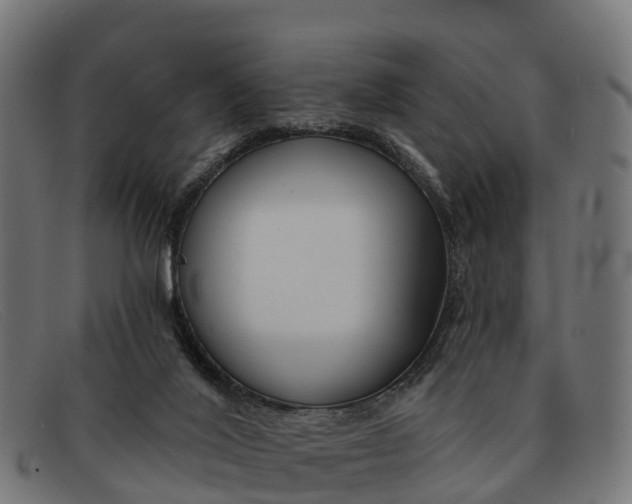 X0000091670020200709131537