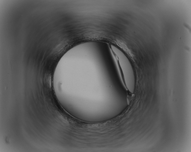 X0000091670021200709131537