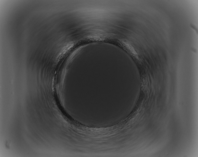 X0000091670023200709131537