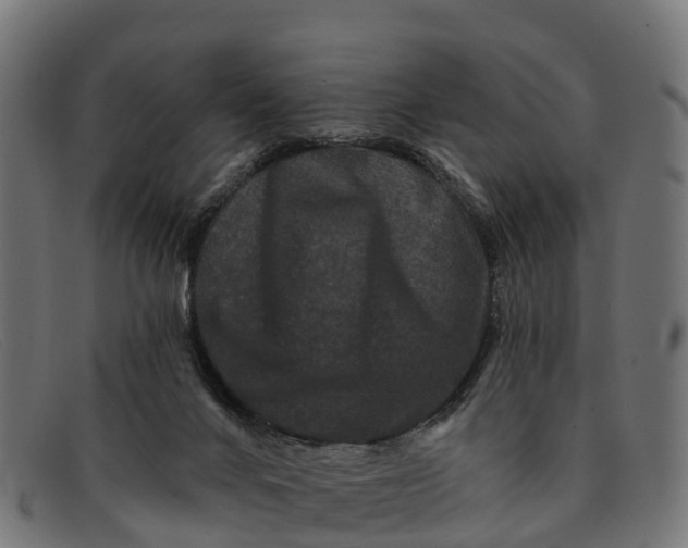 X0000091670024200709131537