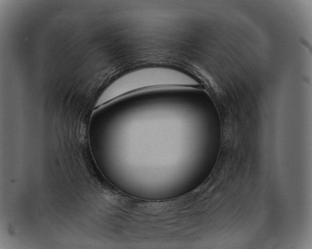 X0000091670025200709131537