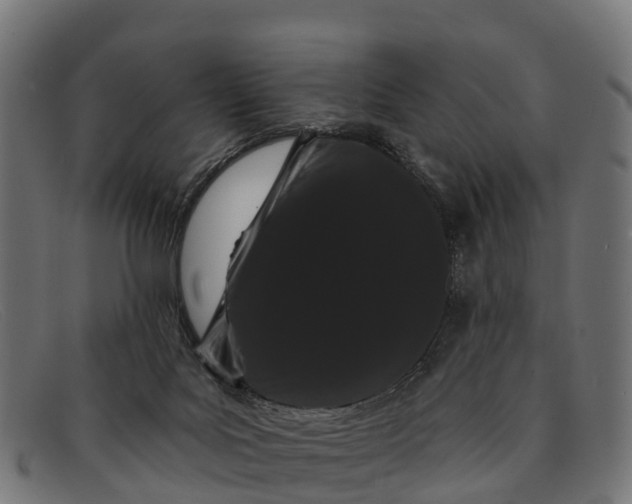 X0000091670027200709131537