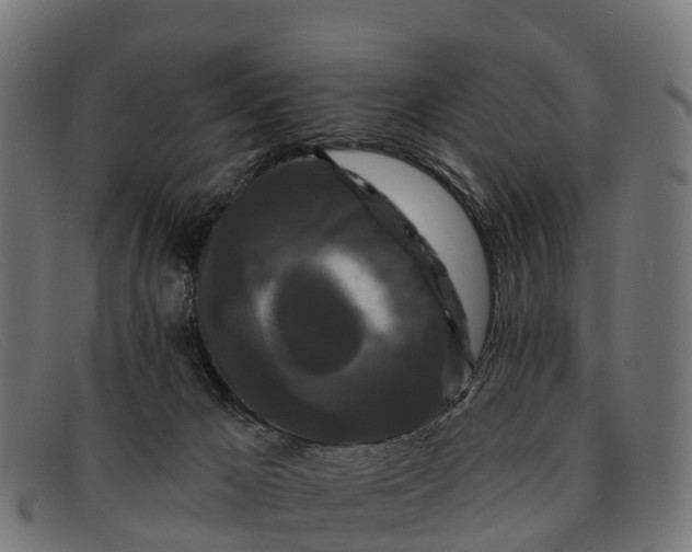 X0000091670029200709131537