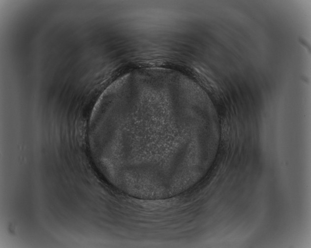 X0000091670030200709131537