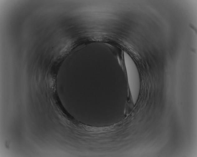 X0000091670031200709131537