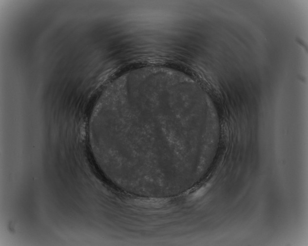 X0000091670032200709131537