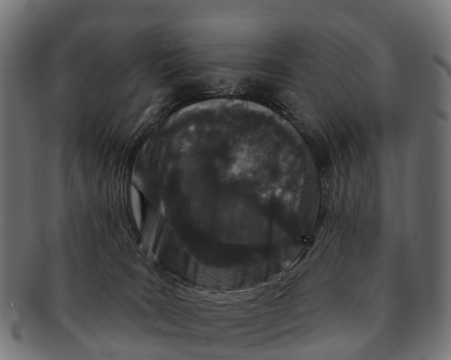 X0000091670035200709131537