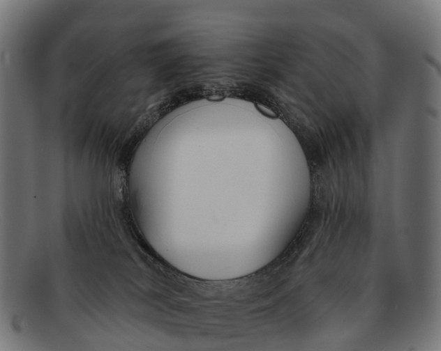 X0000091670038200709131537