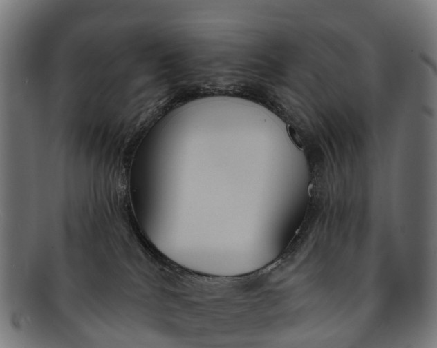 X0000091670040200709131537