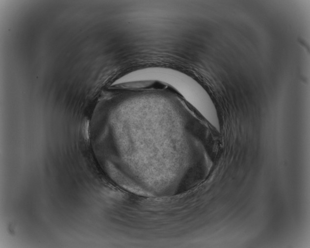 X0000091670041200709131537