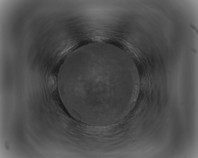 X0000091670043200709131537