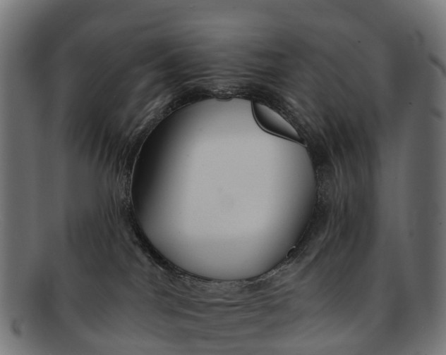 X0000091670044200709131537