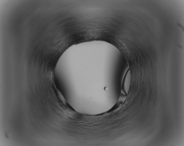 X0000091670045200709131537