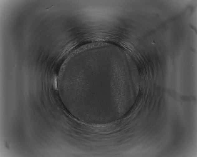 X0000091670046200709131537