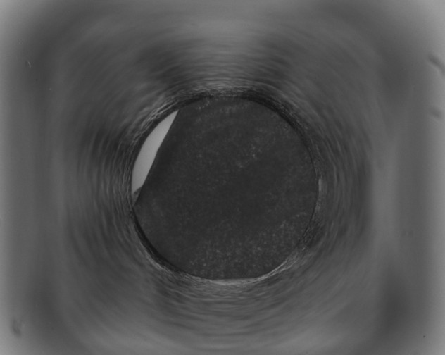 X0000091670048200709131537