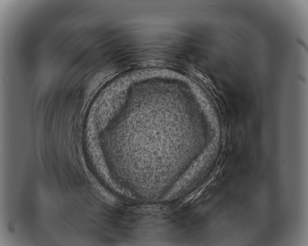 X0000091670049200709131536