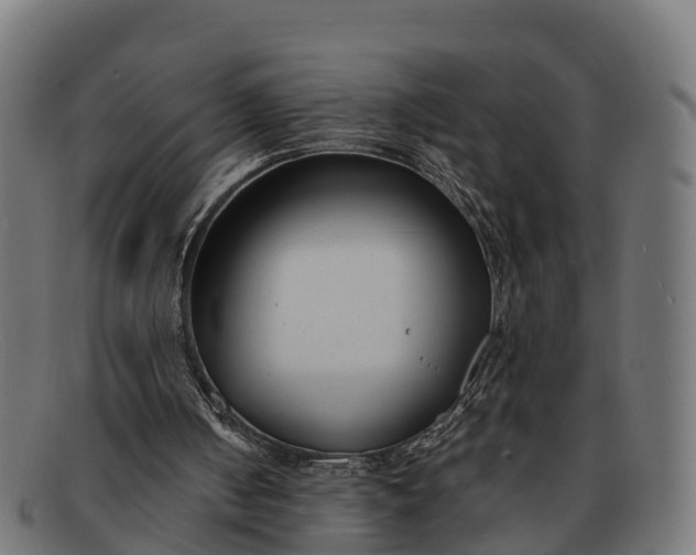 X0000091670050200709131536