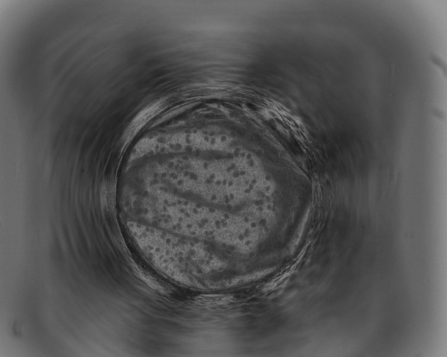 X0000091670051200709131536