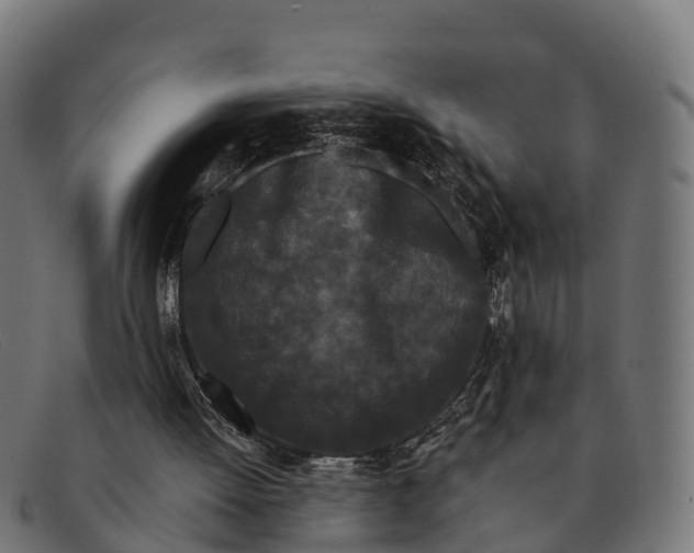 X0000091670052200709131536