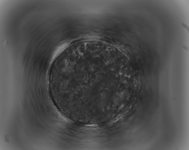 X0000091670053200709131536