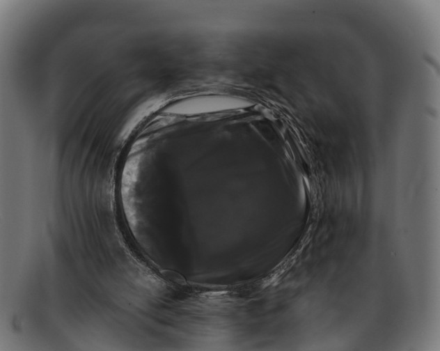 X0000091670054200709131536