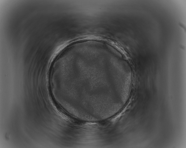 X0000091670055200709131536