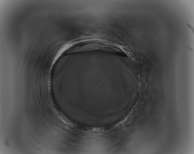 X0000091670056200709131536