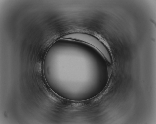 X0000091670057200709131536