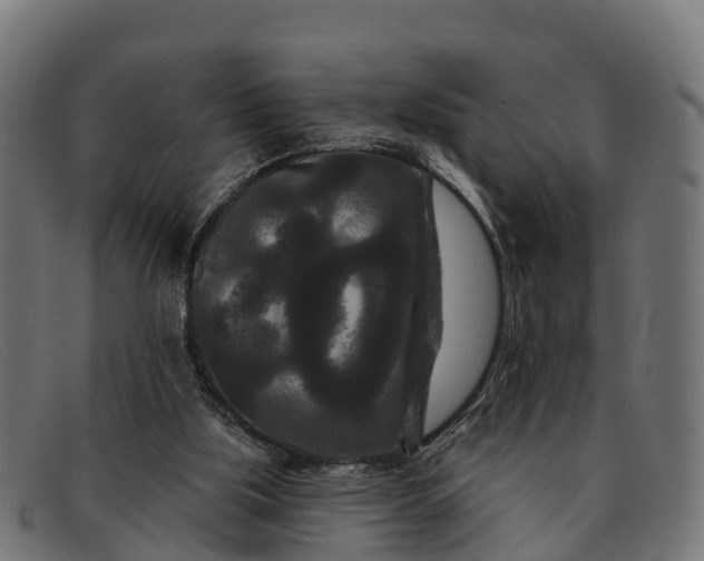 X0000091670059200709131536