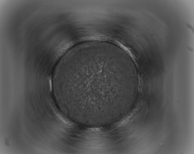 X0000091670061200709131536