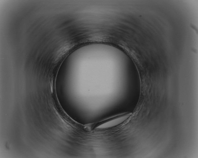 X0000091670062200709131536