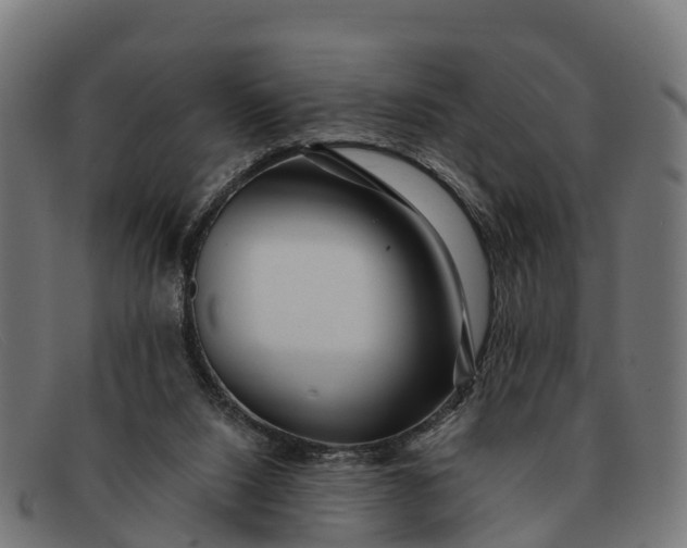 X0000091670064200709131536