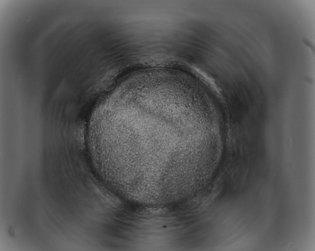 X0000091670065200709131536