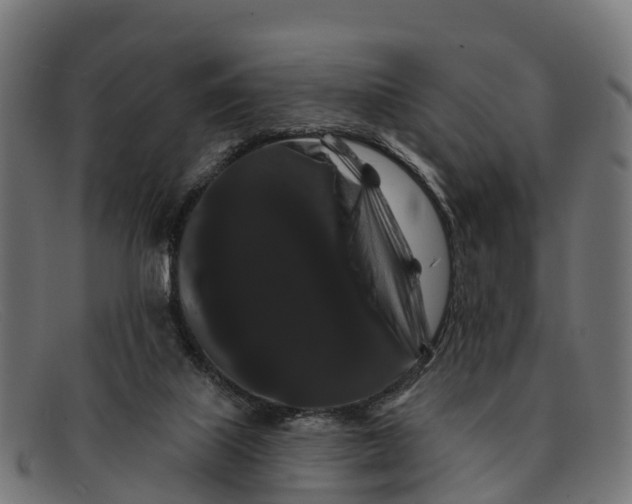 X0000091670067200709131536