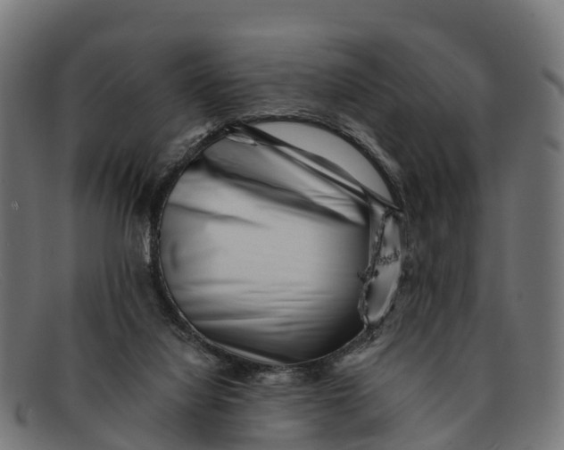 X0000091670068200709131536