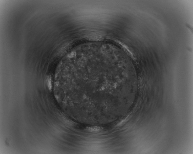 X0000091670069200709131536