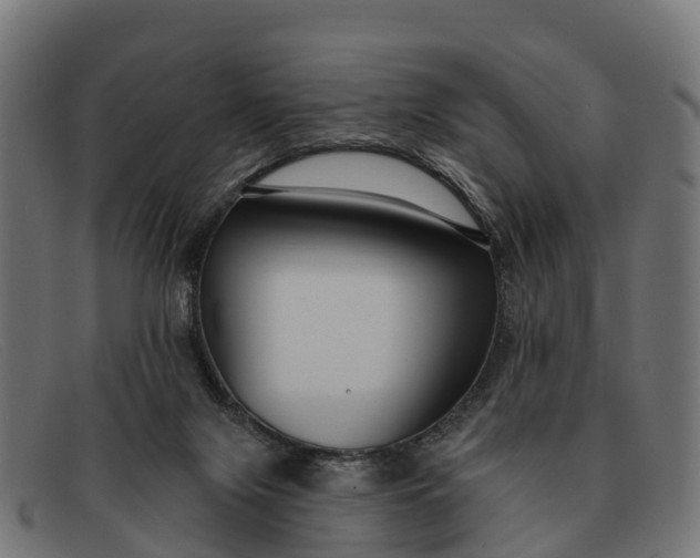 X0000091670071200709131536