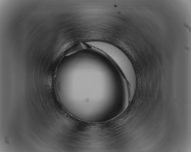 X0000091670072200709131536